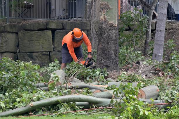 Best Utility Line Clearance  in San Marino, CA